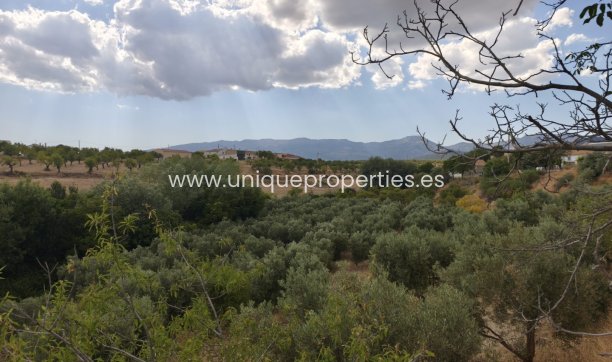 Resale - Cave House -
Castril