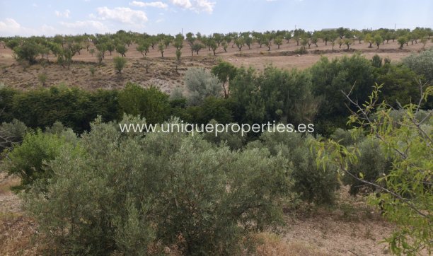 Resale - Cave House -
Castril