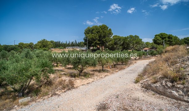 Resale - House -
LA TERCIA - La Tercia