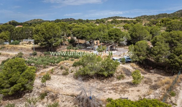 Resale - House -
LA TERCIA - La Tercia