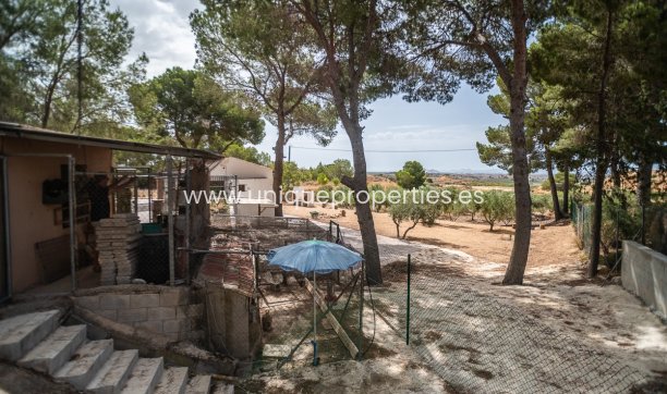 Resale - House -
LA TERCIA - La Tercia