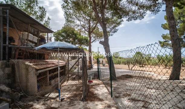 Resale - House -
LA TERCIA - La Tercia