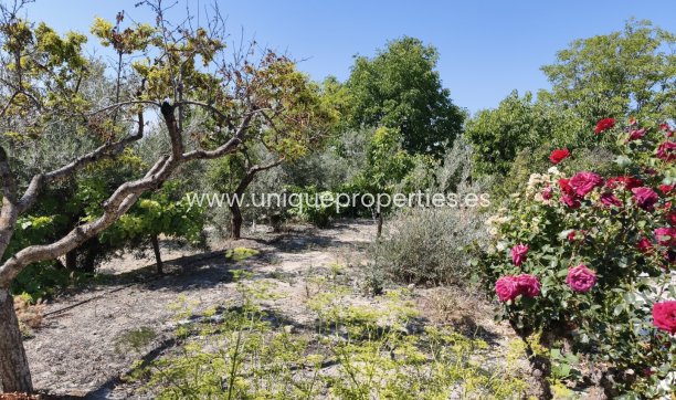 Resale - Villa -
Huescar