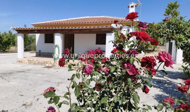 Resale - Villa -
Huescar