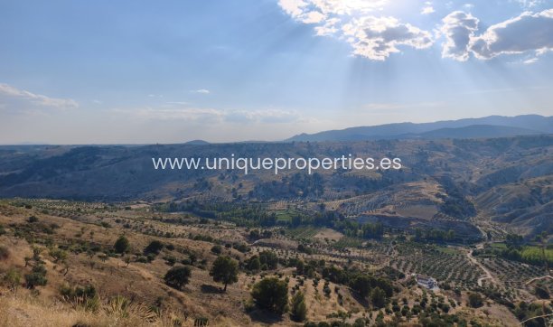 Herverkoop - Cortijo -
Castril