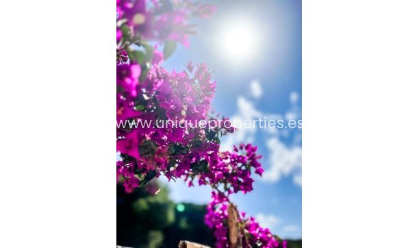 Resale - Apartment -
Santiago de la Ribera - zona san blas