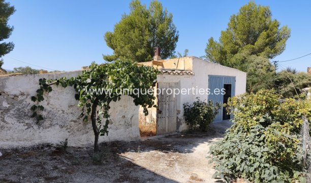 Revente - Cave House -
Margen de Abajo