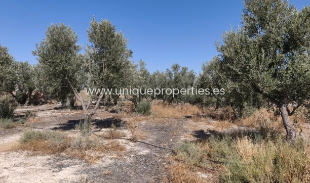 Revente - Cave House -
Margen de Abajo