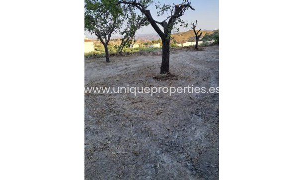 Resale - Commercial -
Partaloa