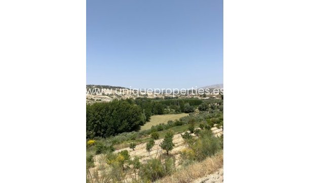 Herverkoop - Village House -
Cortes de Baza