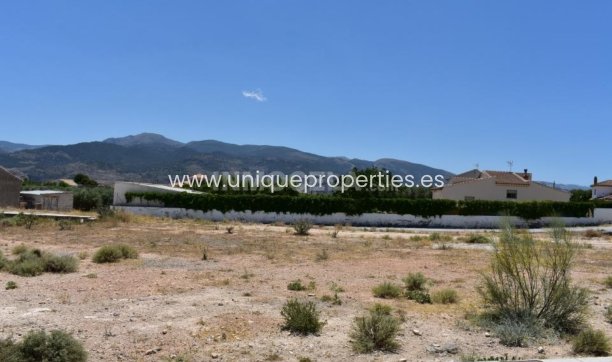 Herverkoop - Land -
Cela