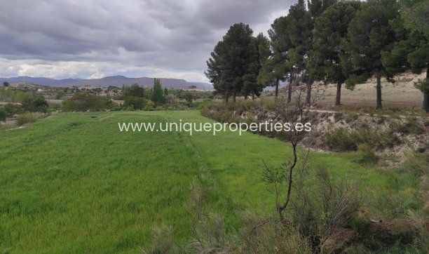 Reventa - Cortijo -
Huescar