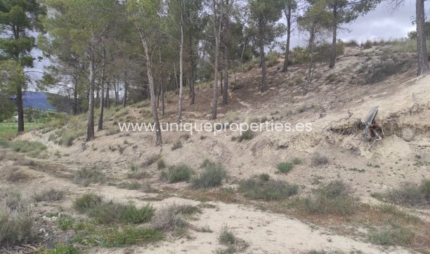 Reventa - Cortijo -
Huescar