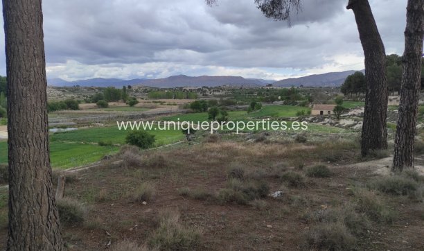 Reventa - Cortijo -
Huescar