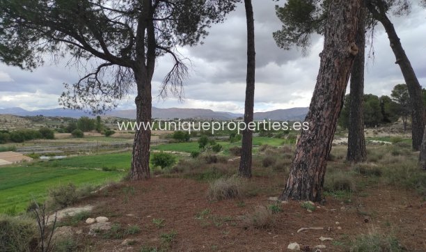 Reventa - Cortijo -
Huescar