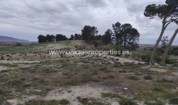 Reventa - Cortijo -
Huescar