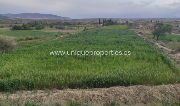 Reventa - Cortijo -
Huescar