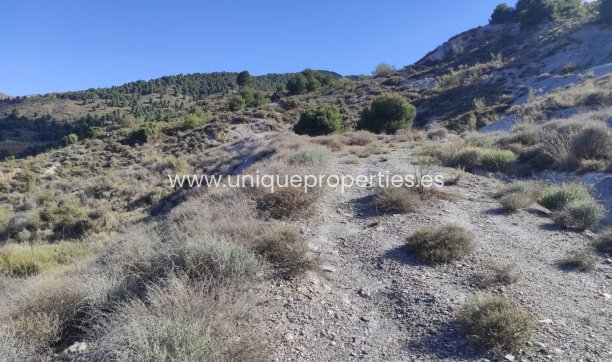 Resale - Land -
Bayarque