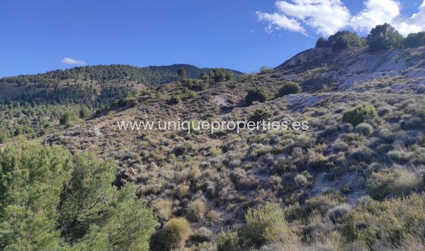 Resale - Land -
Bayarque