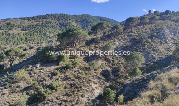 Resale - Land -
Bayarque