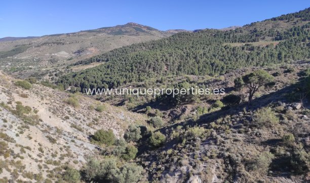 Resale - Land -
Bayarque