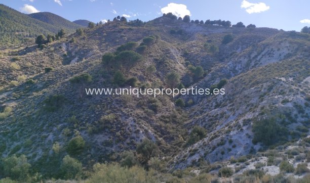 Resale - Land -
Bayarque