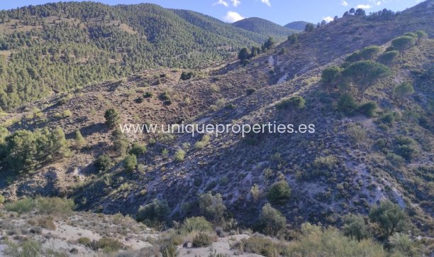 Resale - Land -
Bayarque