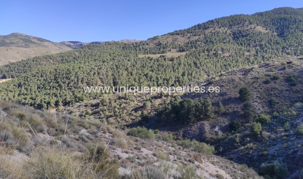 Resale - Land -
Bayarque