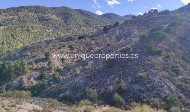 Resale - Land -
Bayarque