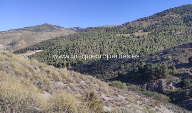 Resale - Land -
Bayarque