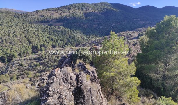 Resale - Land -
Bayarque