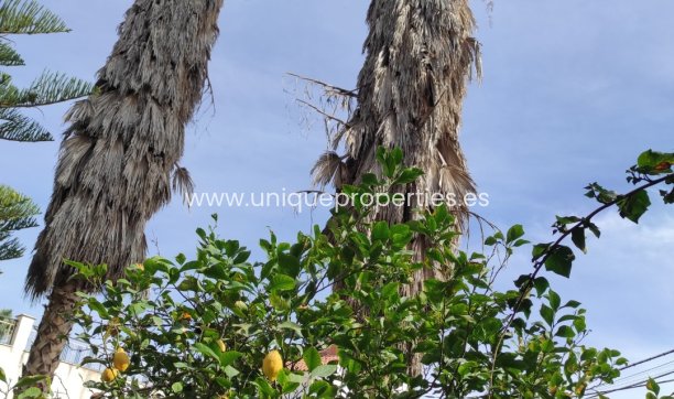 Revente - Village House -
Olula del Rio