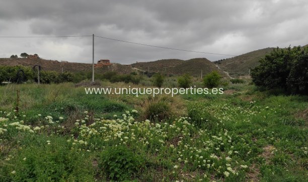 Reventa - Cortijo -
Olula del Rio