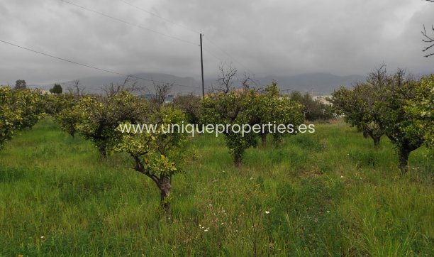 Reventa - Cortijo -
Olula del Rio