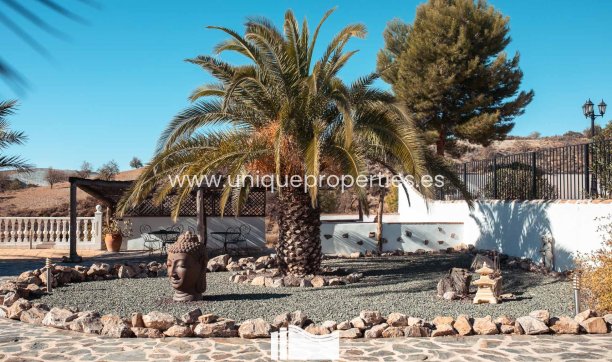 Resale - Country Property/Finca -
Lorca