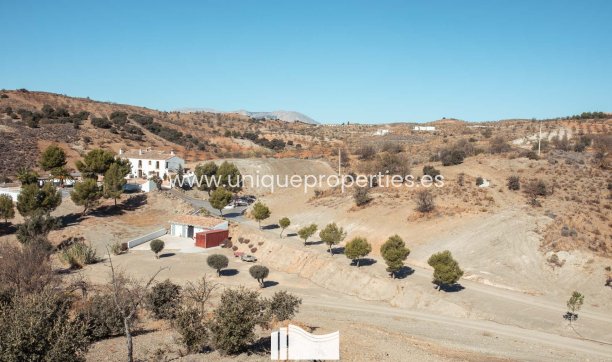 Resale - Country Property/Finca -
Lorca