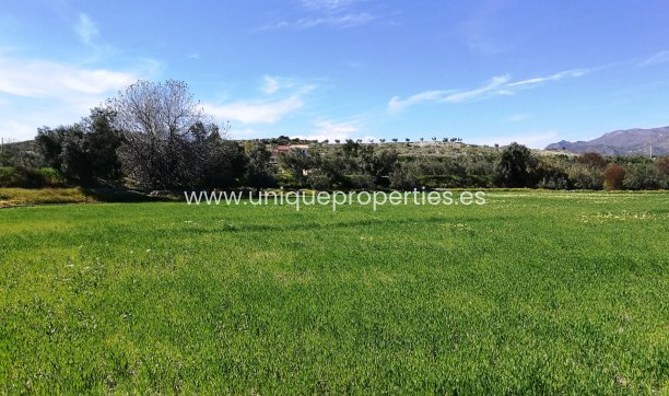 Resale - Land -
Tijola