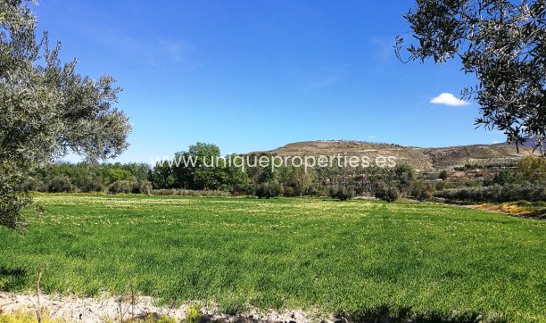 Resale - Land -
Tijola