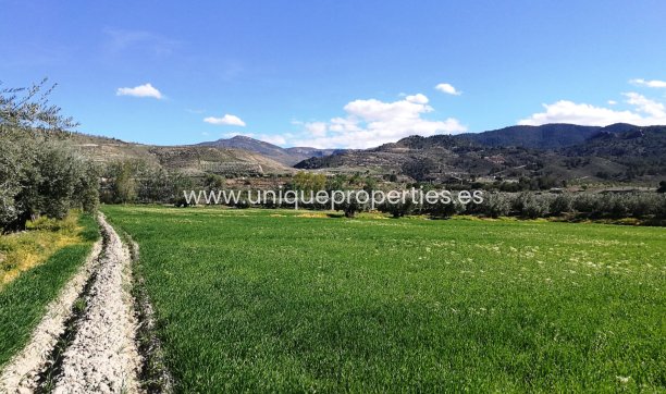 Resale - Land -
Tijola