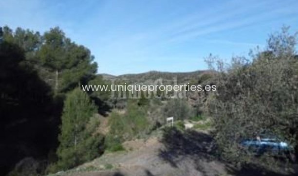 Revente - Land -
Purchena