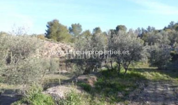 Revente - Land -
Purchena