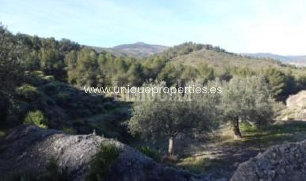 Revente - Land -
Purchena