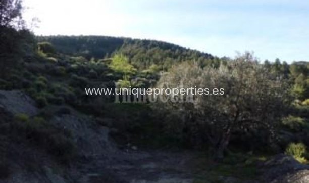Revente - Land -
Purchena