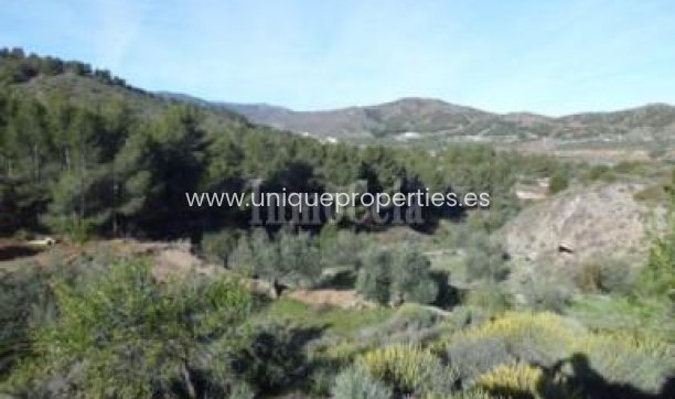 Revente - Land -
Purchena